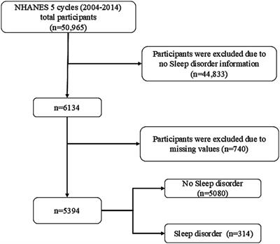 Relationship between relative fat mass and low-carbohydrate diet scores and sleep disorders in United States: a real-world cross-sectional study